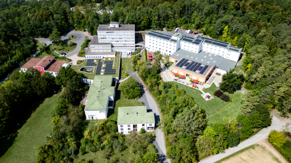 Erholen inmitten des Waldparks